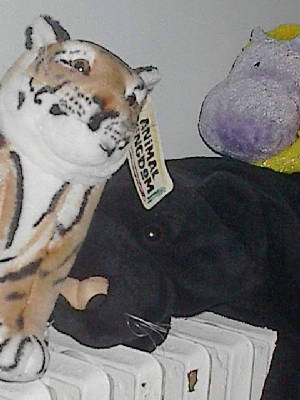 im001834.jpg