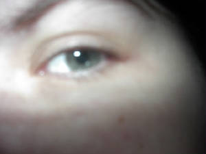im001869.jpg