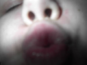 im001871.jpg