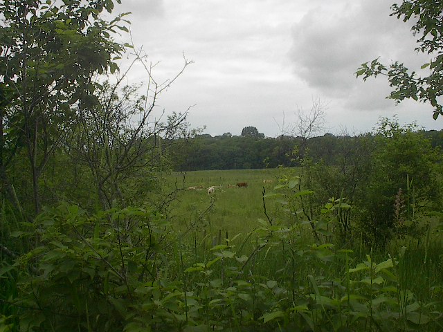 im002101.jpg